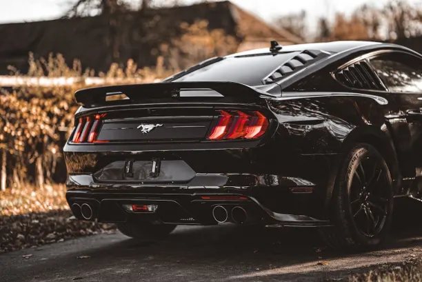 PlaySunny Casino Android/iOS App